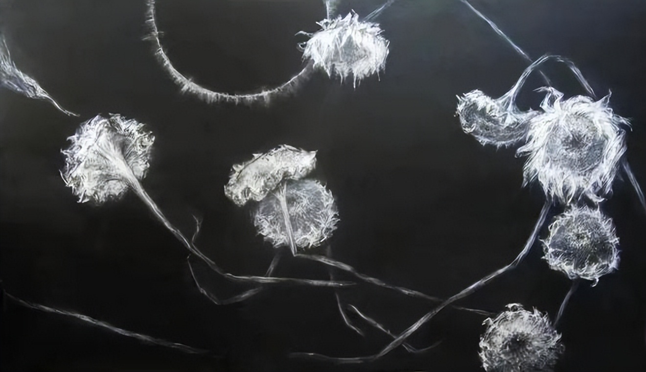 六展齐发《光锥》系列展绽放京南艺术馆