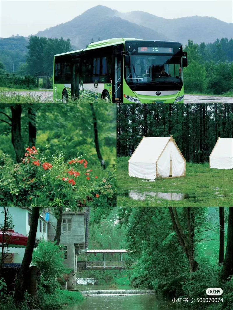 信阳荷花打卡地,信阳赏荷花视频