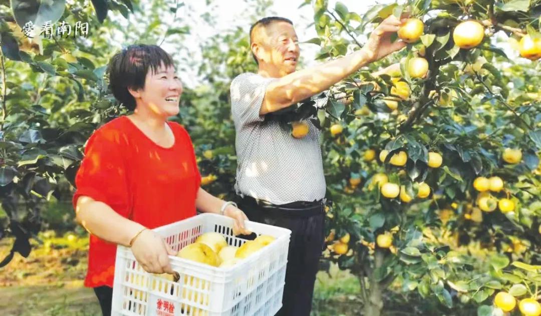 爱看南阳㉟你好2022，再见2021