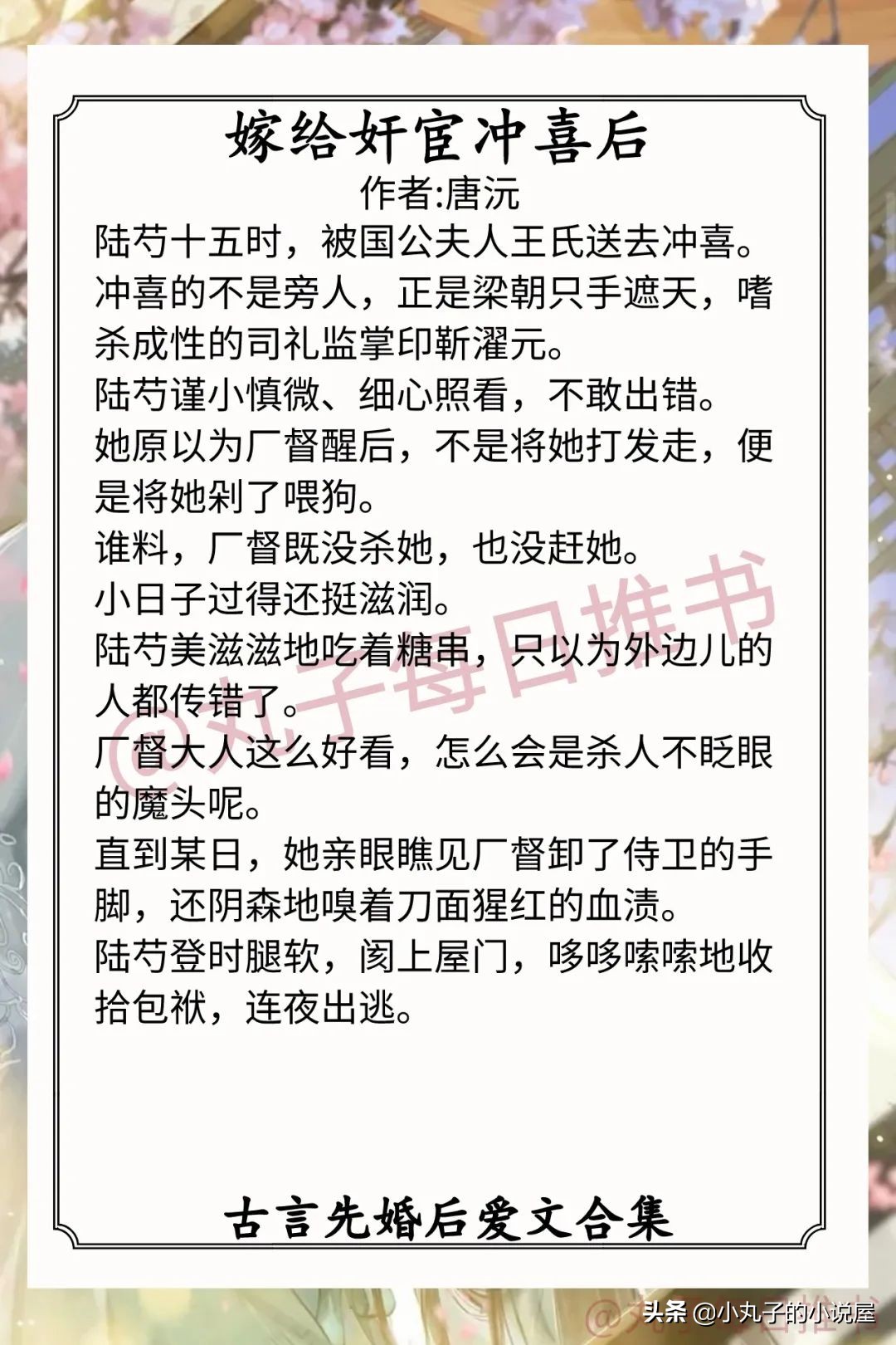 古言先婚后爱甜宠短篇小说,古言先婚后爱甜宠日常短篇