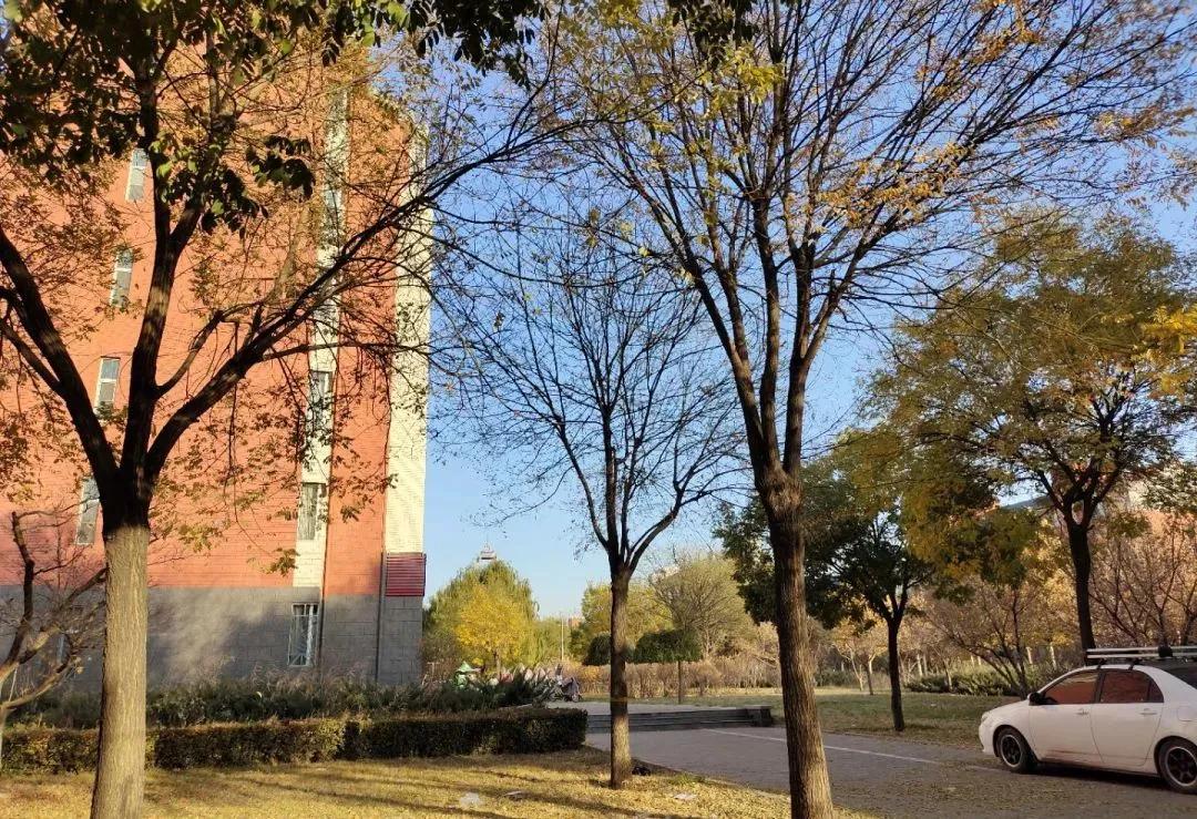 晋中学院有师范类专业吗,晋中学院机械系有什么专业