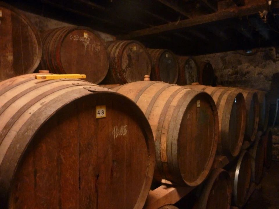 不容错过法国红酒,不容错过的精彩时刻