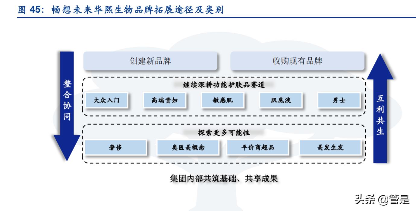 华熙生物财务分析论文,华熙生物公司是国际龙头企业吗