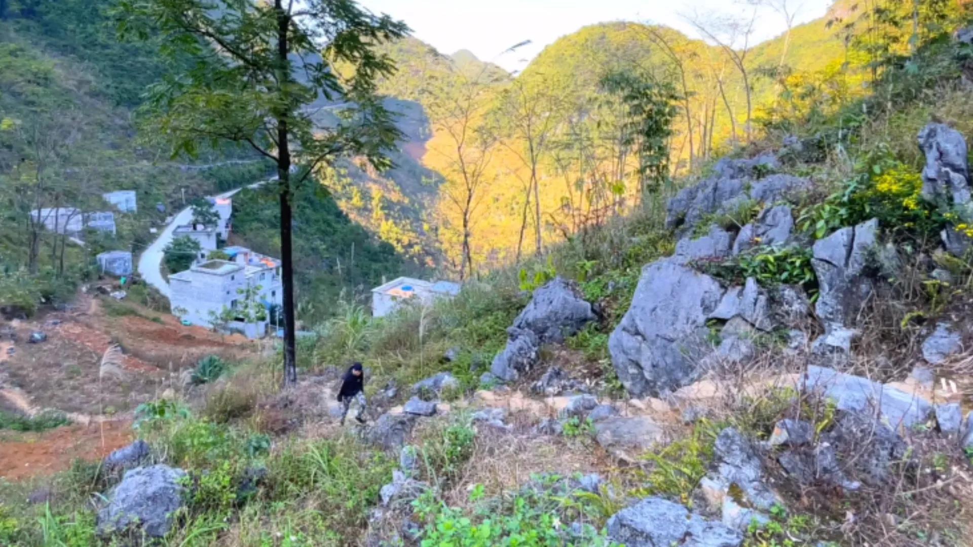 18岁女孩被卖到山村嫁给傻子,花季少女被卖大山嫁傻子
