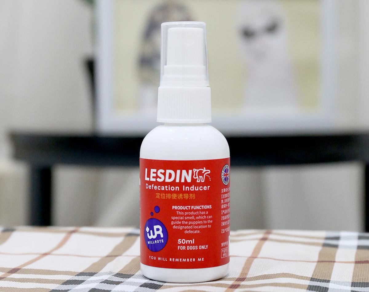 狗狗乱尿不要随意打骂！可能会造成心理阴影