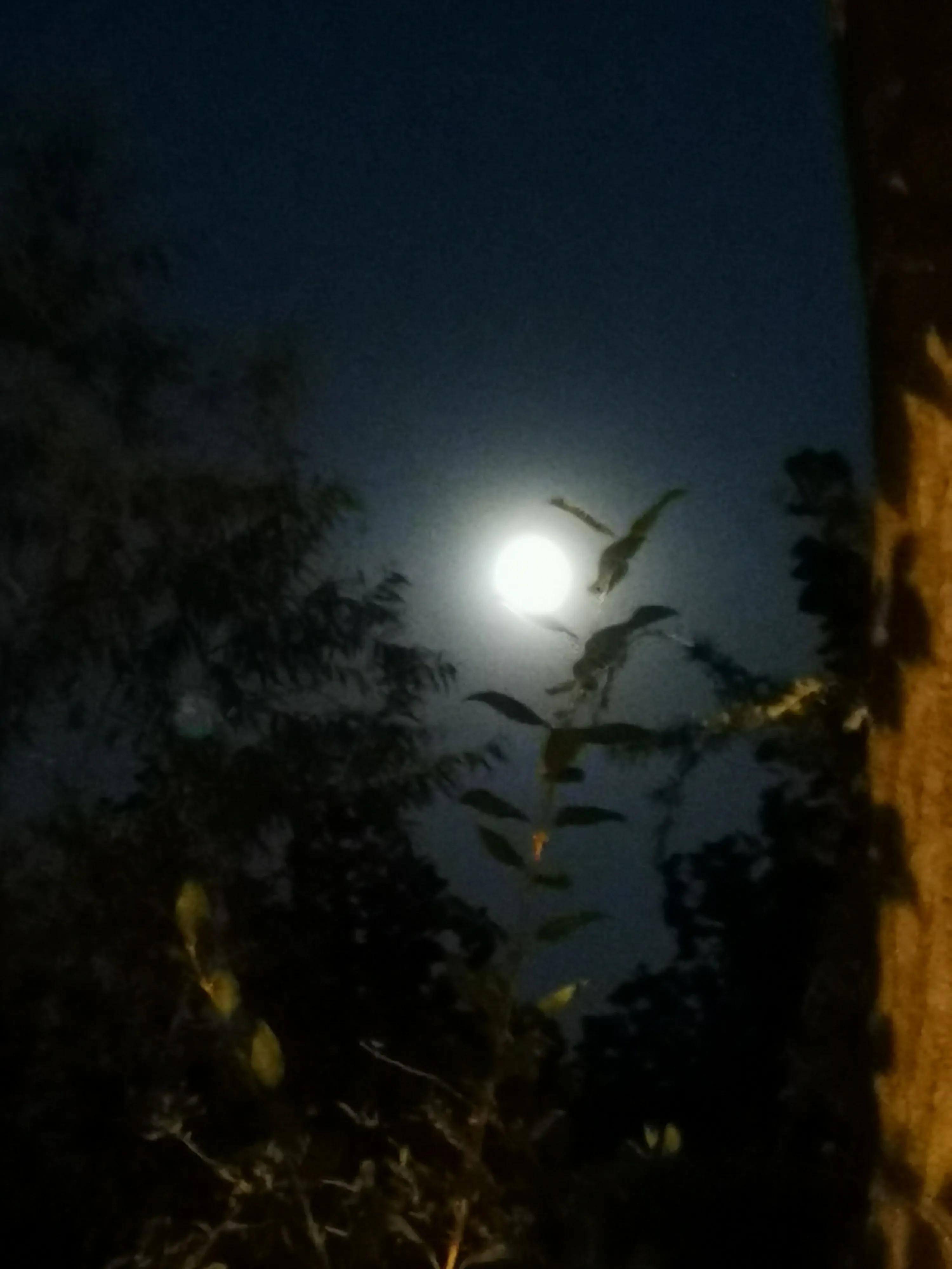 分享你拍下的最美月亮,中秋最美的月亮发朋友圈