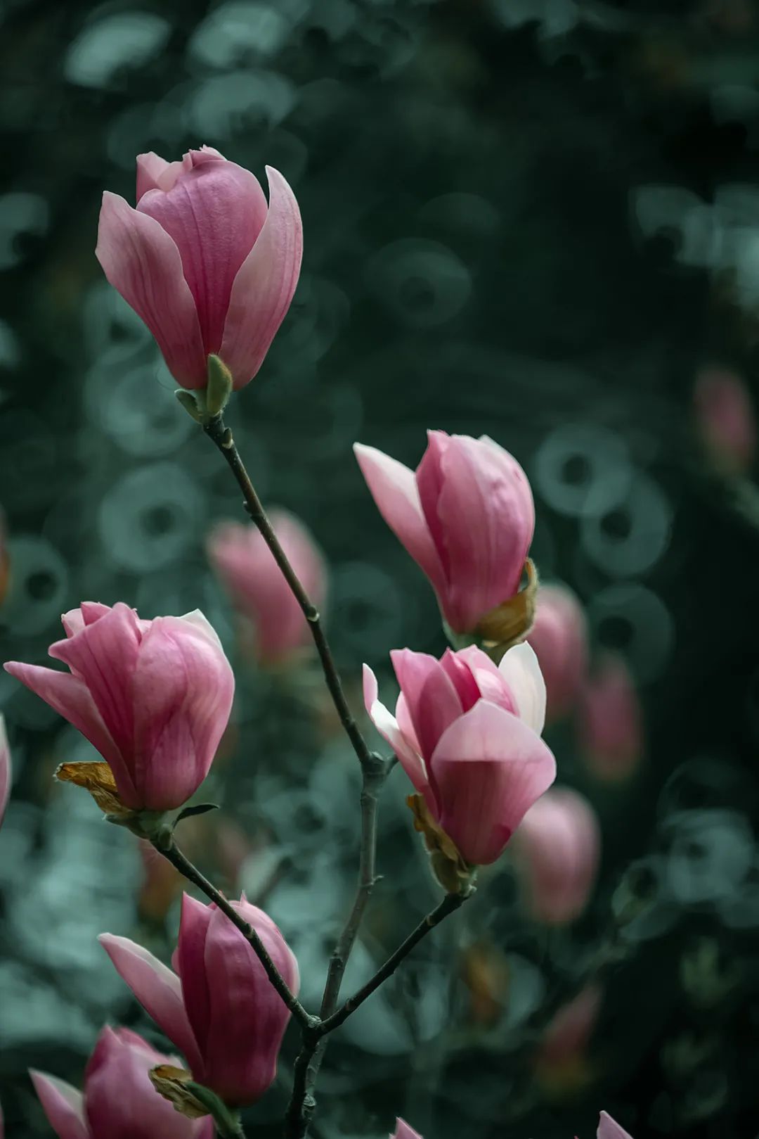 相机滤镜uv效果,相机使用uv滤镜