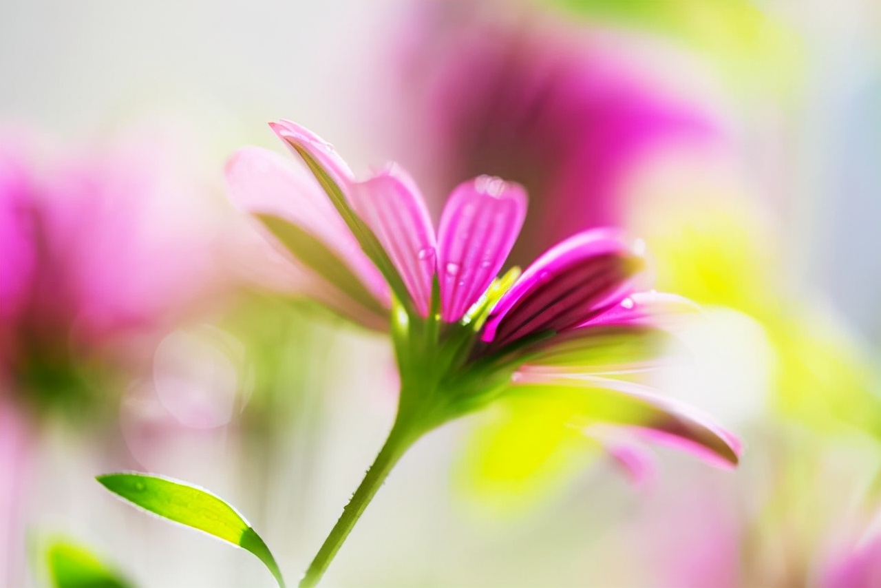 看不起你的亲戚永远不要来往,不愿跟亲戚接触