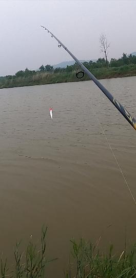 达瓦822ms路亚竿配什么轮子,达瓦火蜥蜴822ml