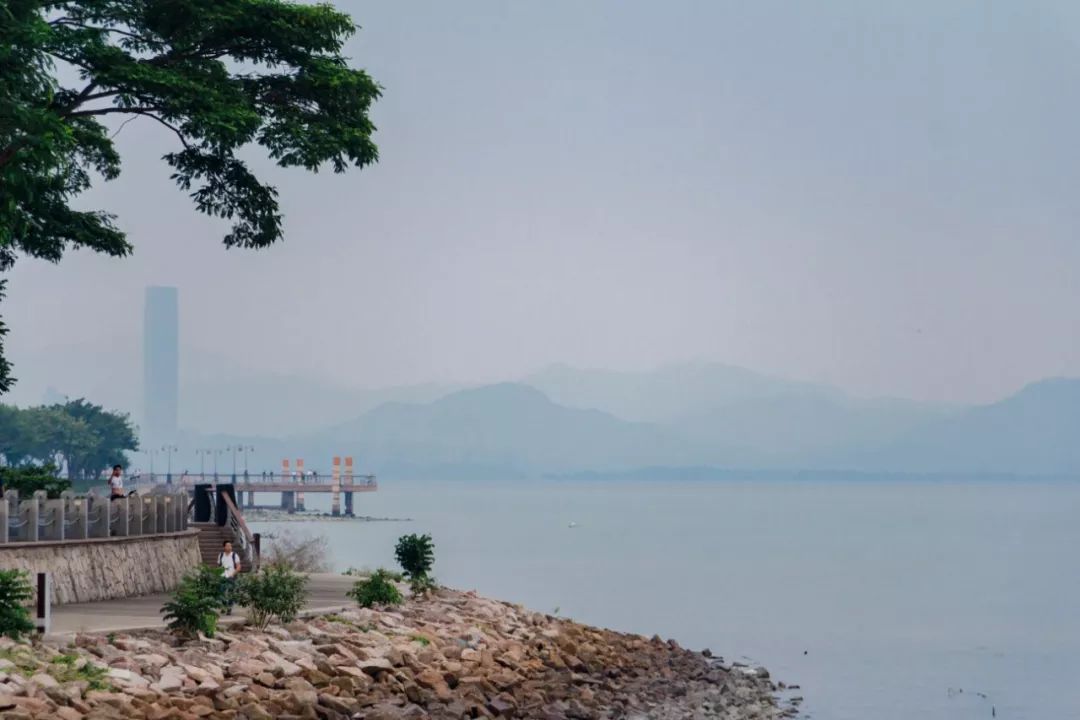 家住深圳必去的公园绿道,深圳环湖绿道好玩么