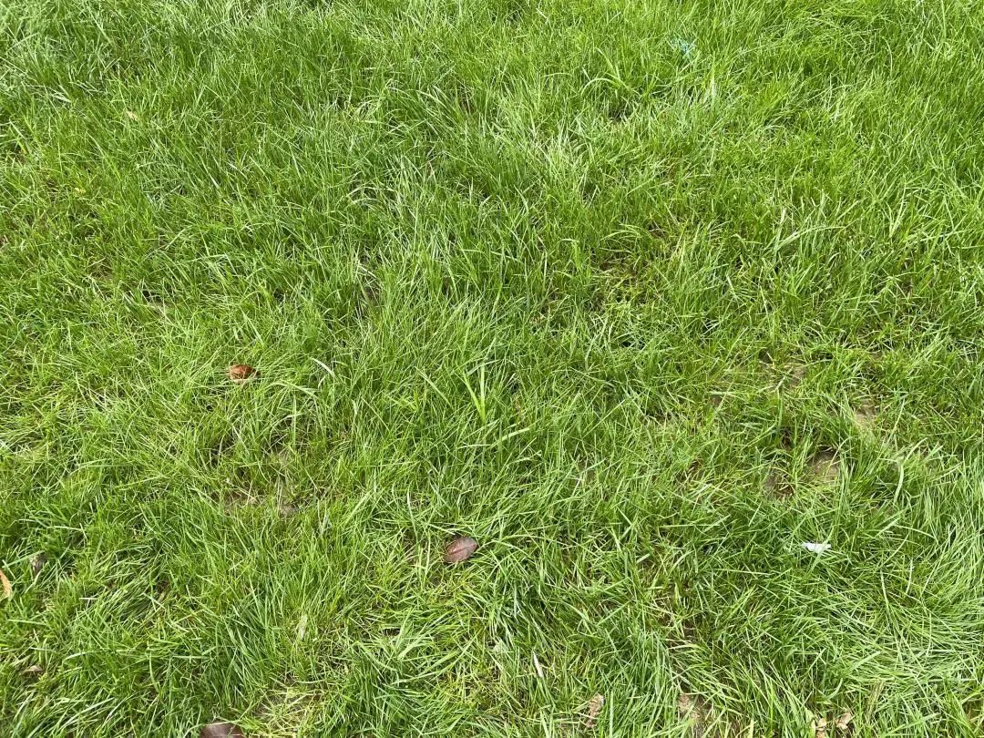 旭辉国宸府延期,房住不炒不等于房价不涨