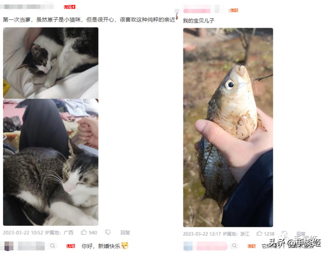 给初音未来粉丝送啥礼物,给初音未来买手链