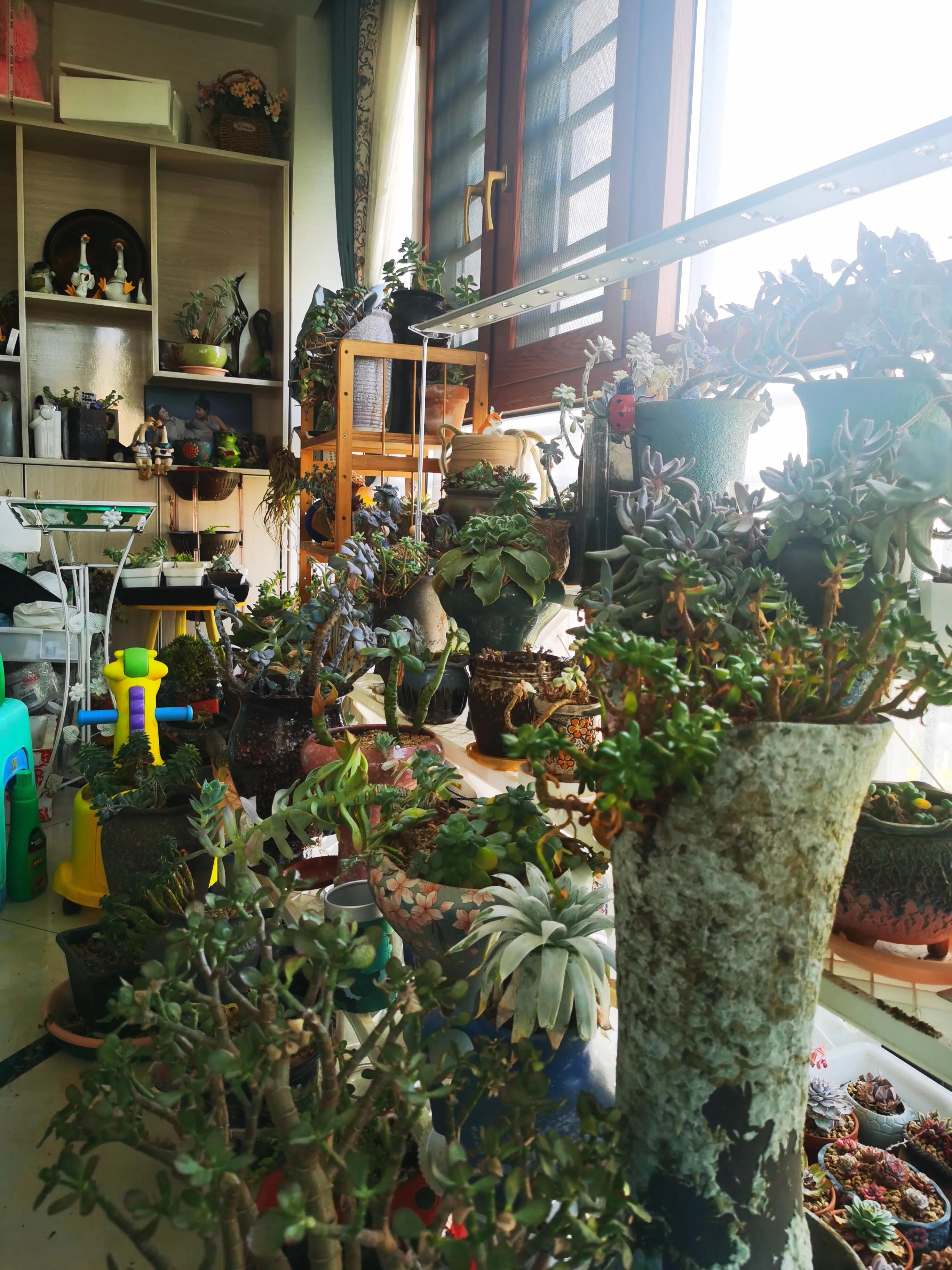 都是购物车惹的祸电影,网购是不是也打12315