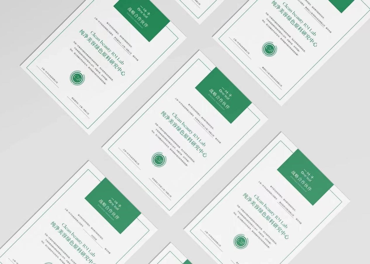 上美股份集合店,上美股份高端产品