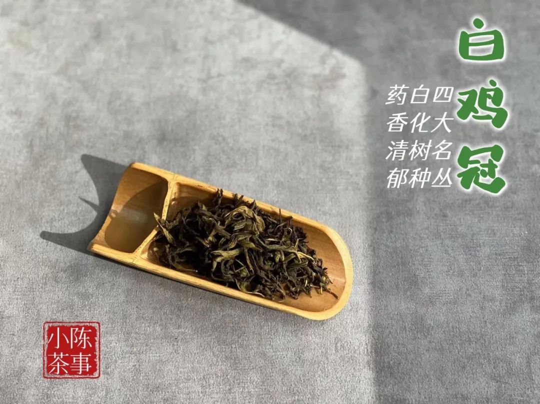 四大名枞白鸡冠岩茶一斤多少钱,岩茶白牡丹是什么茶
