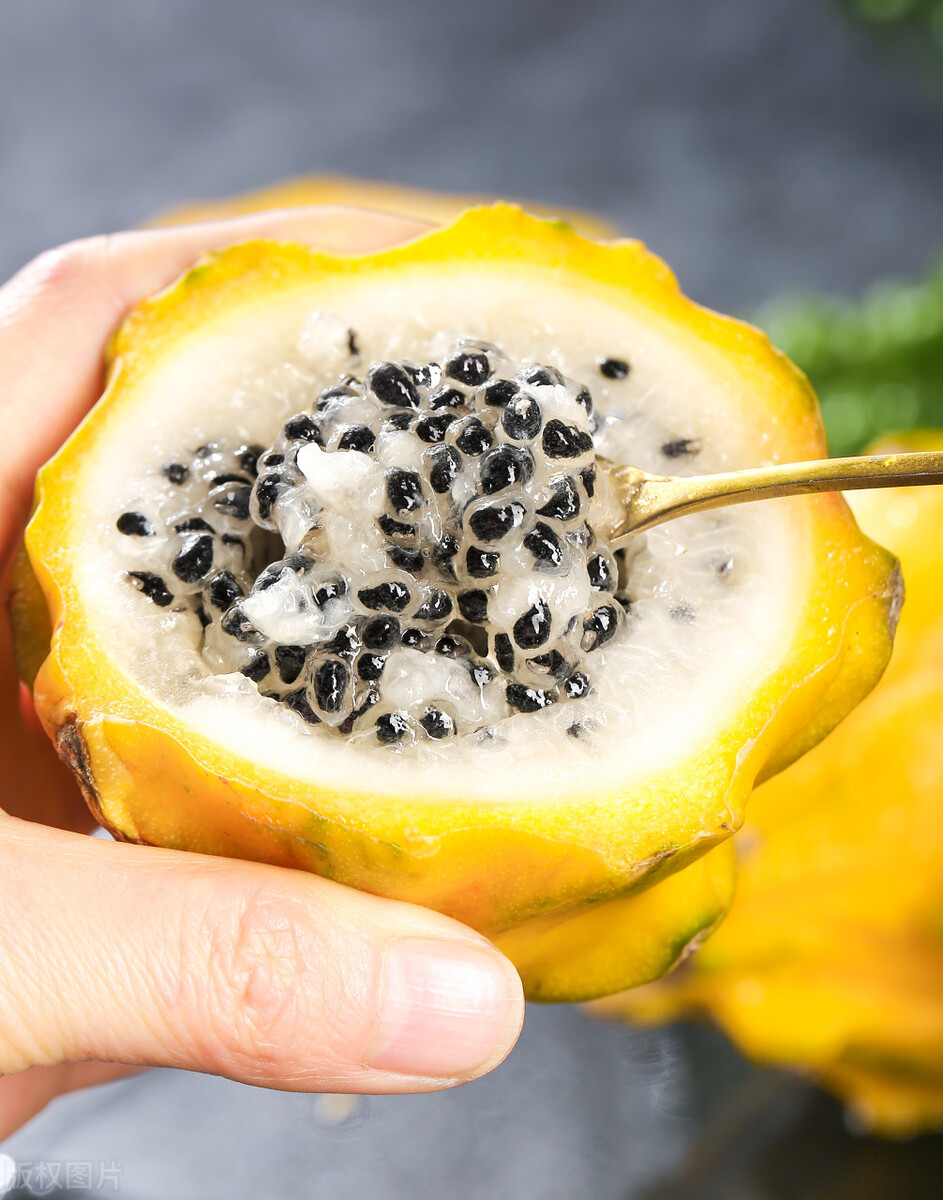 佳农厄瓜多尔麒麟果,厄瓜多尔麒麟果