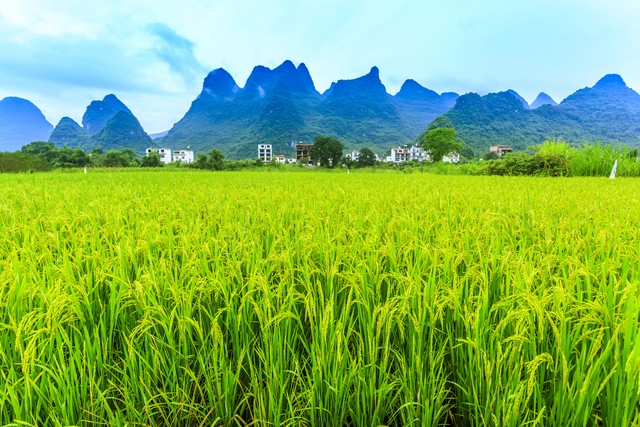 陶渊明田园诗六首,陶渊明的六首田园诗
