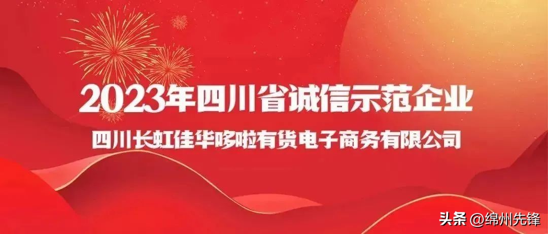 长虹佳华简介,四川长虹佳华销售好干吗