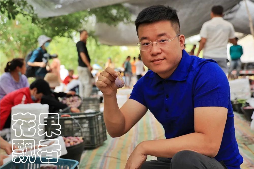 西梅怎么干得比较快呢,关于西梅的知识