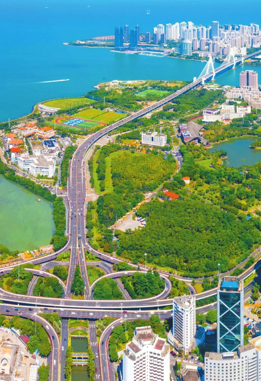 来自香港的他们发出邀约！共享海口机遇与活力！