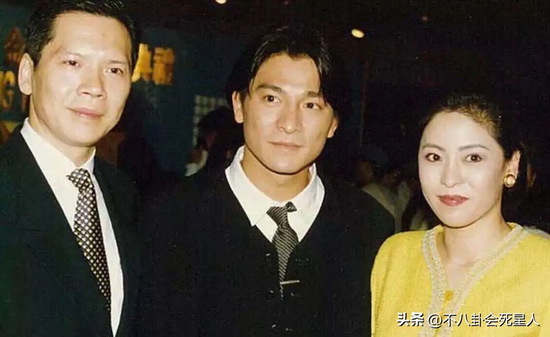 李小龙丁佩向华强陈岚的关系,向华强老婆是丁佩还是陈岚