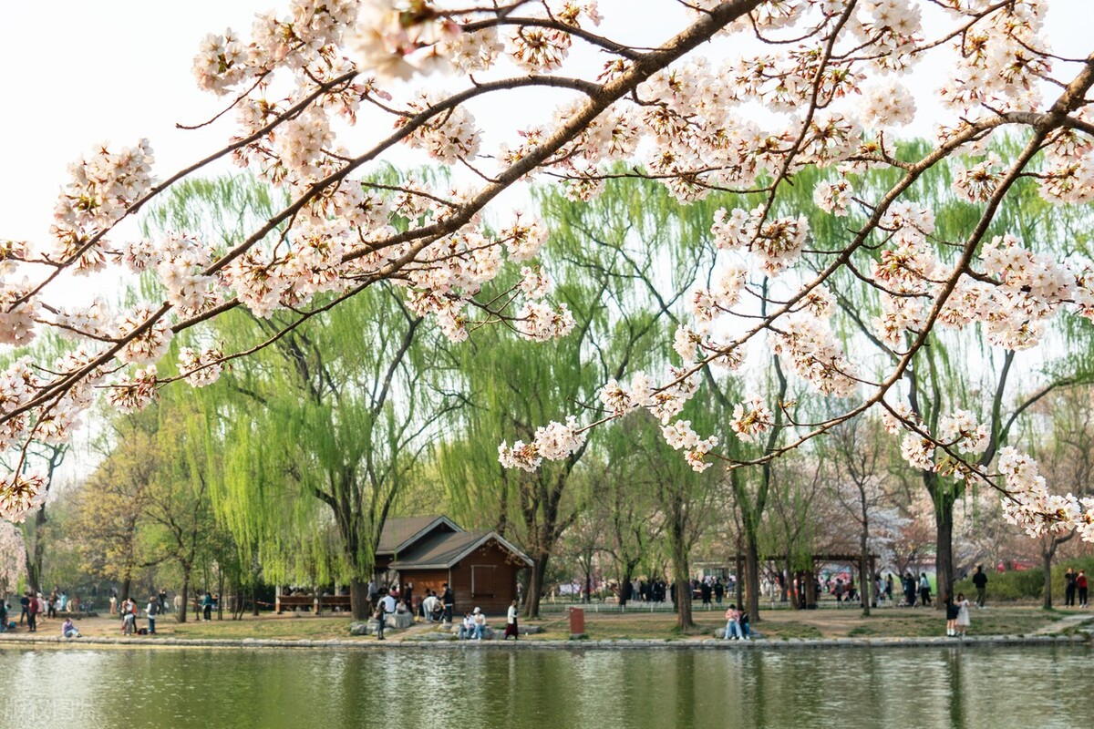 海淀区文旅局官网,文旅海淀第五期