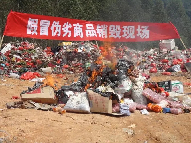 为什么发达国家不扶持电商,中国为什么大力扶持电商