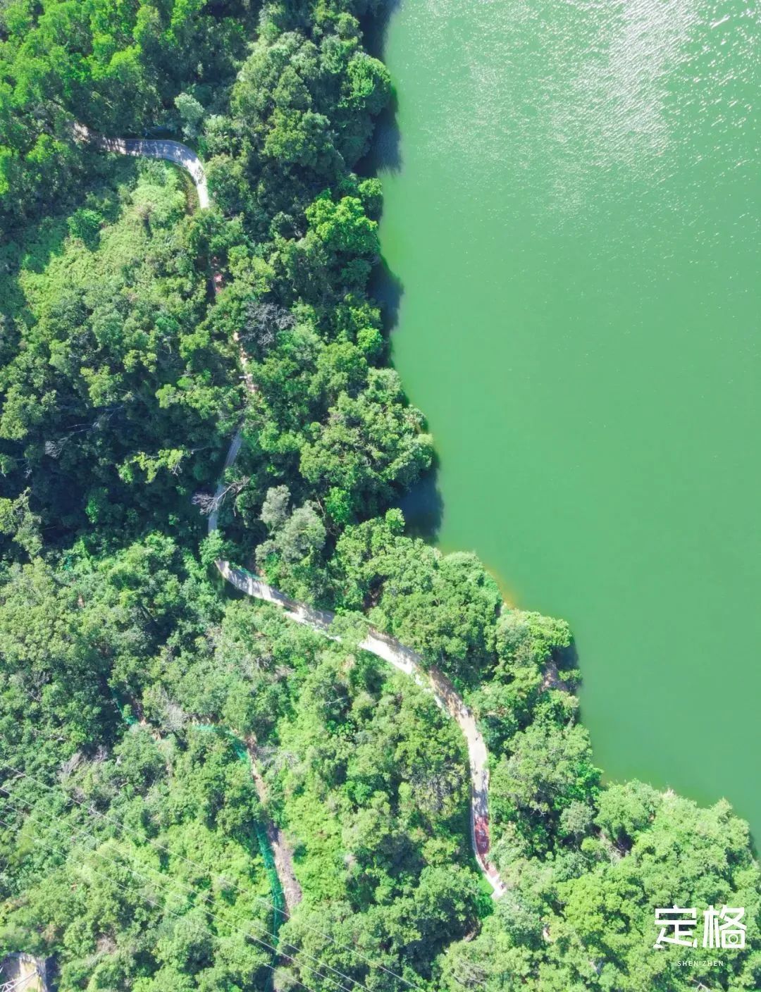 家住深圳必去的公园绿道,深圳环湖绿道好玩么