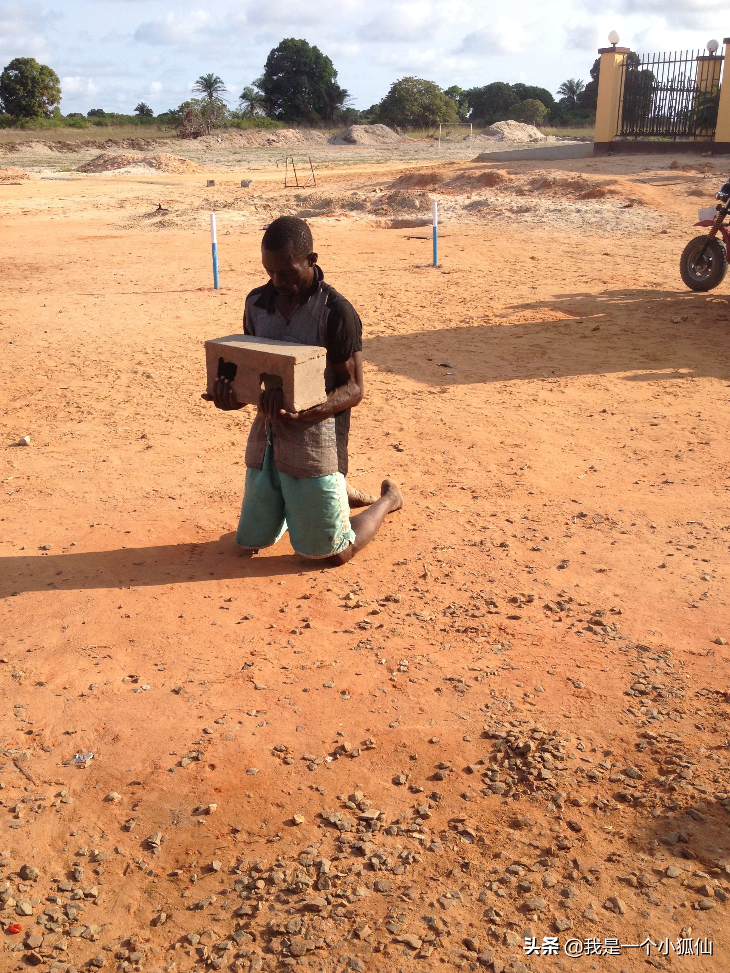 我在非洲安哥拉采辣木籽（我在安哥拉的日子313）