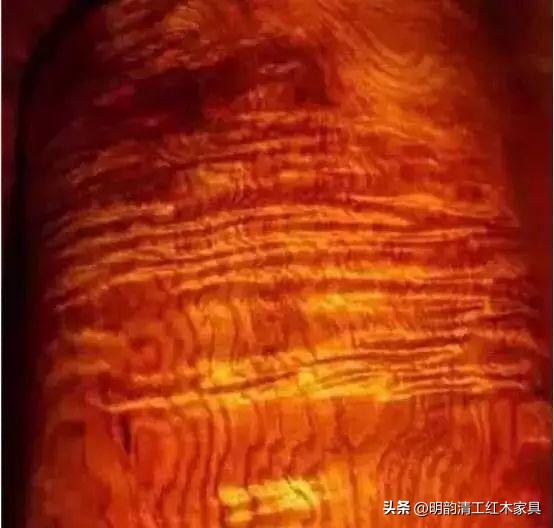 珍稀木材海南黄花梨,什么木比海南黄花梨更贵