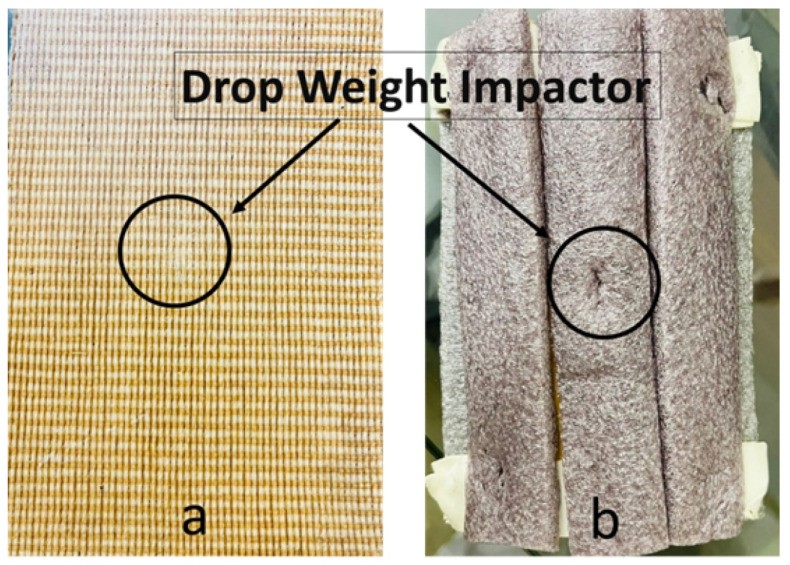 如何利用针织柔和热塑性复合材料，提升轻质板球护垫的保护性能？