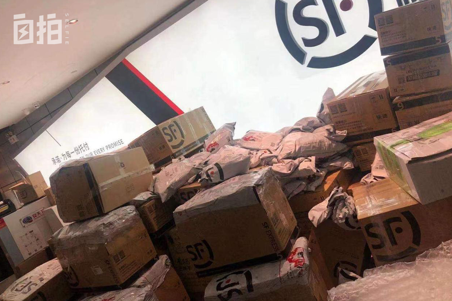 我，印度人，12岁被拉去结婚，16岁打工，靠会中文支撑起全家生活