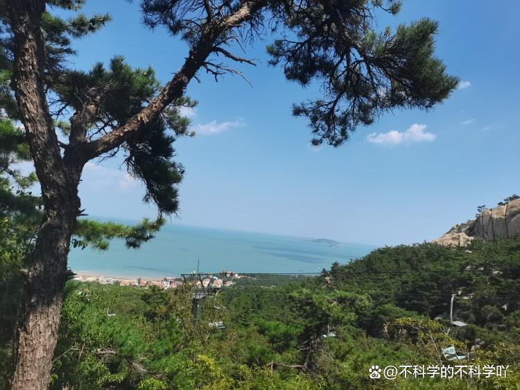 旅游团青岛五日游的攻略,青岛旅游攻略自由行五天四晚双飞