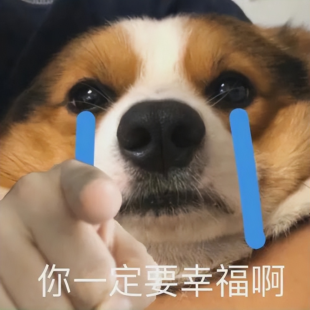 狗狗的4种交配方式，网友：没见过