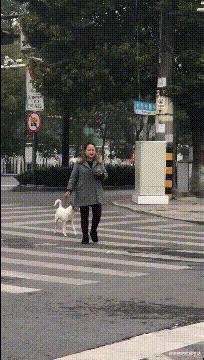 女友是太平公主,说女朋友是太平公主怎么哄