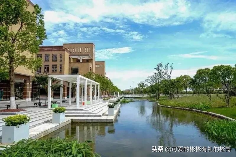 上海电机学院2023本科生好就业吗,上海电机学院本科生去向