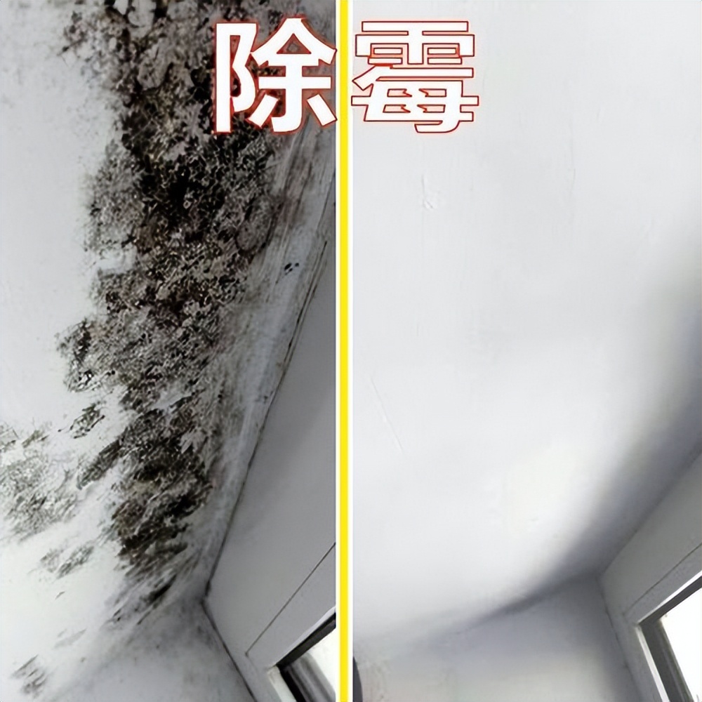 墙上发霉怎么处理才会有霉菌,墙壁上的霉菌霉斑