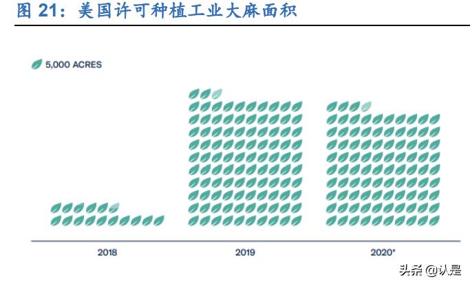 工业大麻的未来发展,工业大麻的未来前景