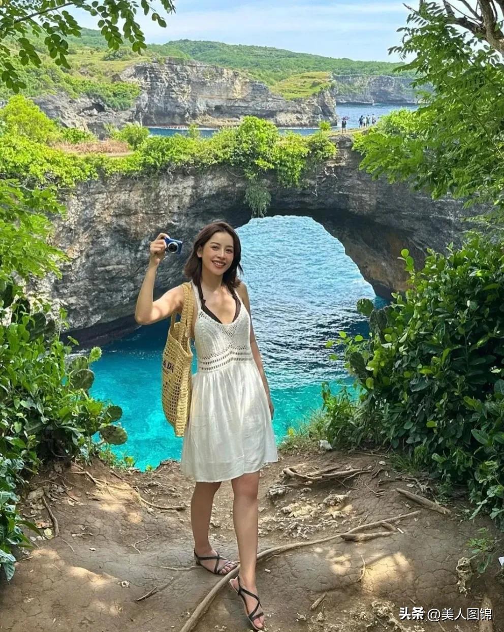 越南芝芙,芝芙越南