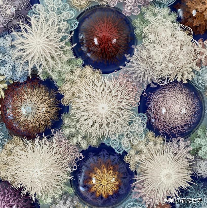 纸艺作品绘画,千变万化的纸艺术作品