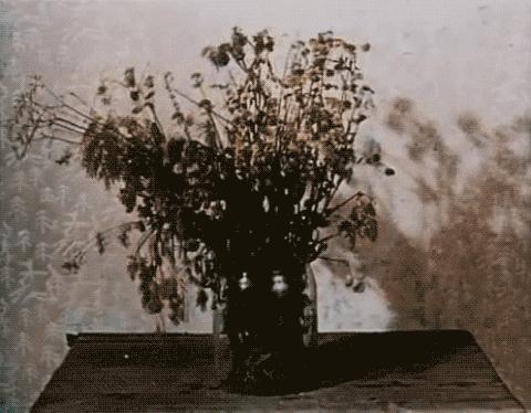 芙荑说成分|视黄醇驾到，干纹细纹全走开