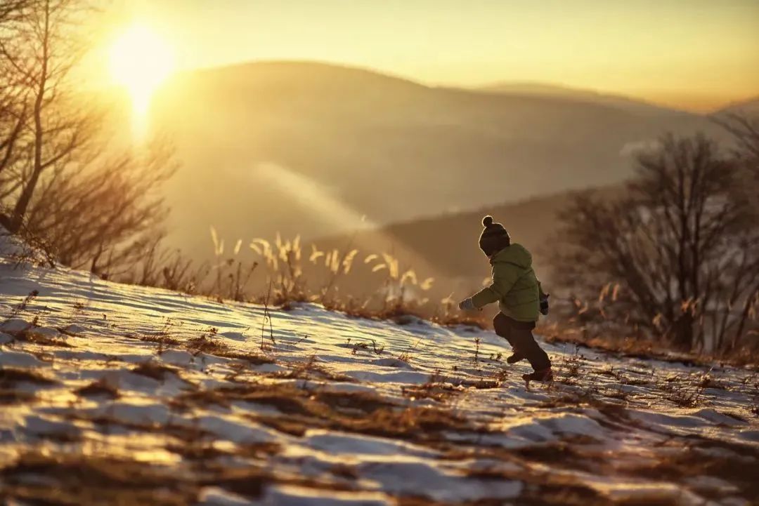 亭前垂柳珍重待春风全文,亭前垂柳珍重待春风原文