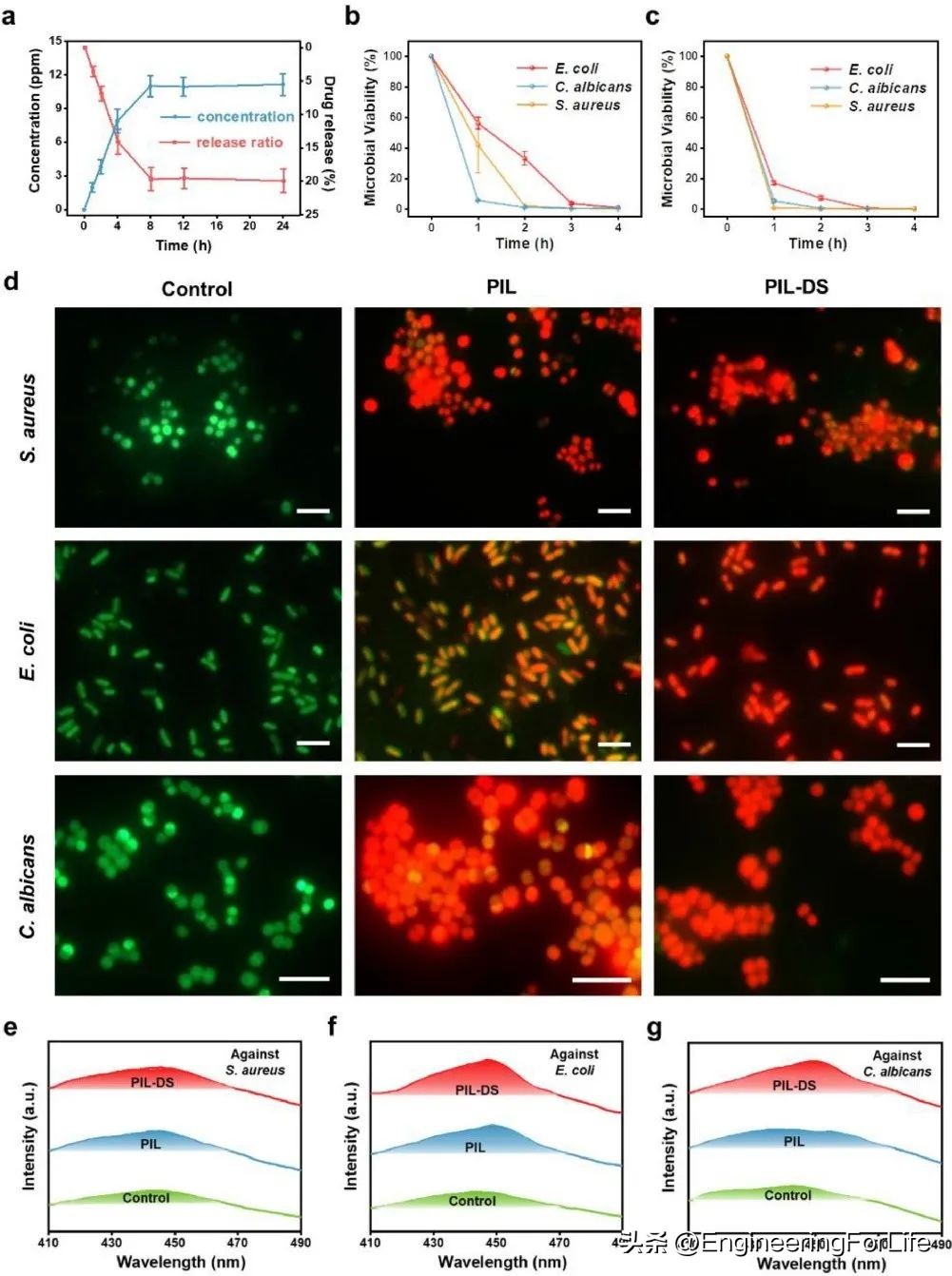 《ActaBiomaterialia》苏州大学：聚离子液体贴片，贴口腔溃疡!