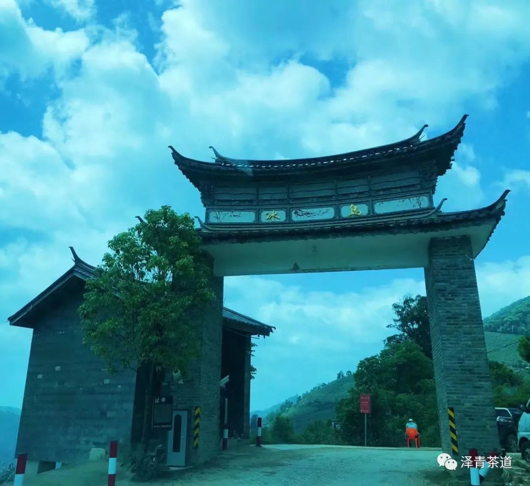 普洱茶各大山头的特性和口感图文,普洱茶老茶头的口感特点有哪些