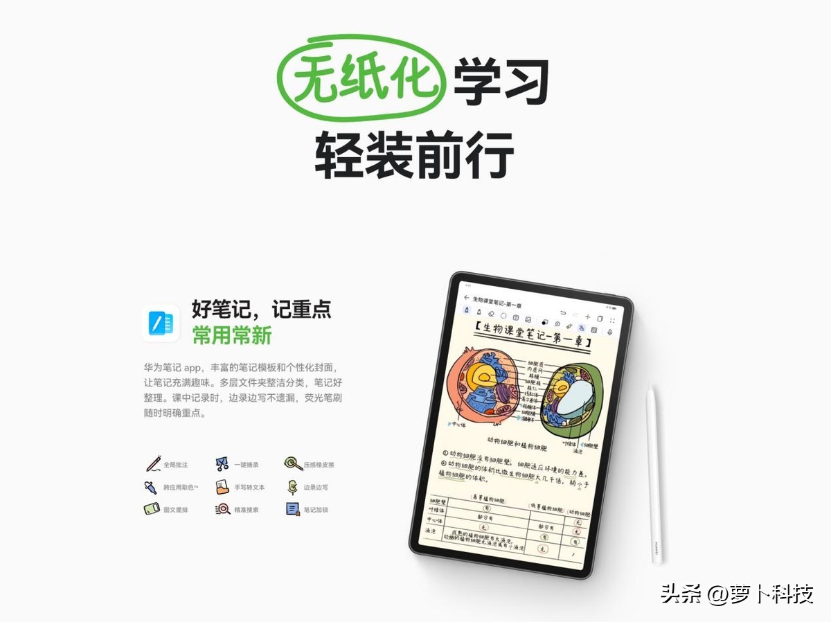 华为matepad11英寸柔光版和普通版,matepad112023款