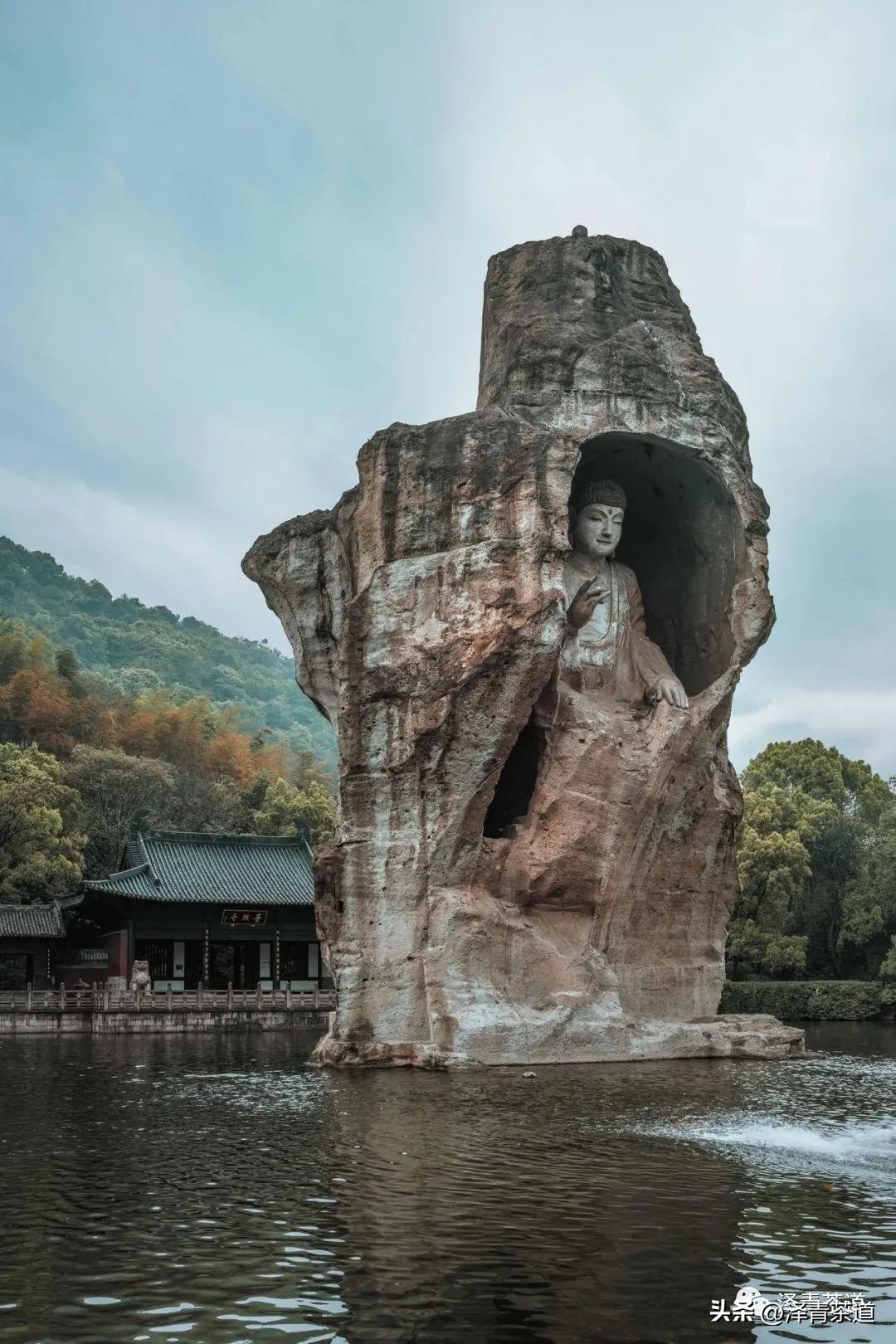 福建中国茶叶第一大省,中国茶叶排名第一省