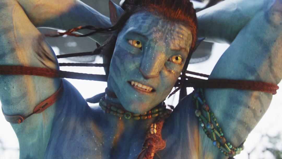 阿凡达2是赚了还是赔了,阿凡达二回顾