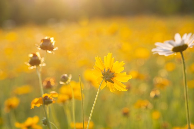 高考考点必背知识点政治,高考核心词汇考点