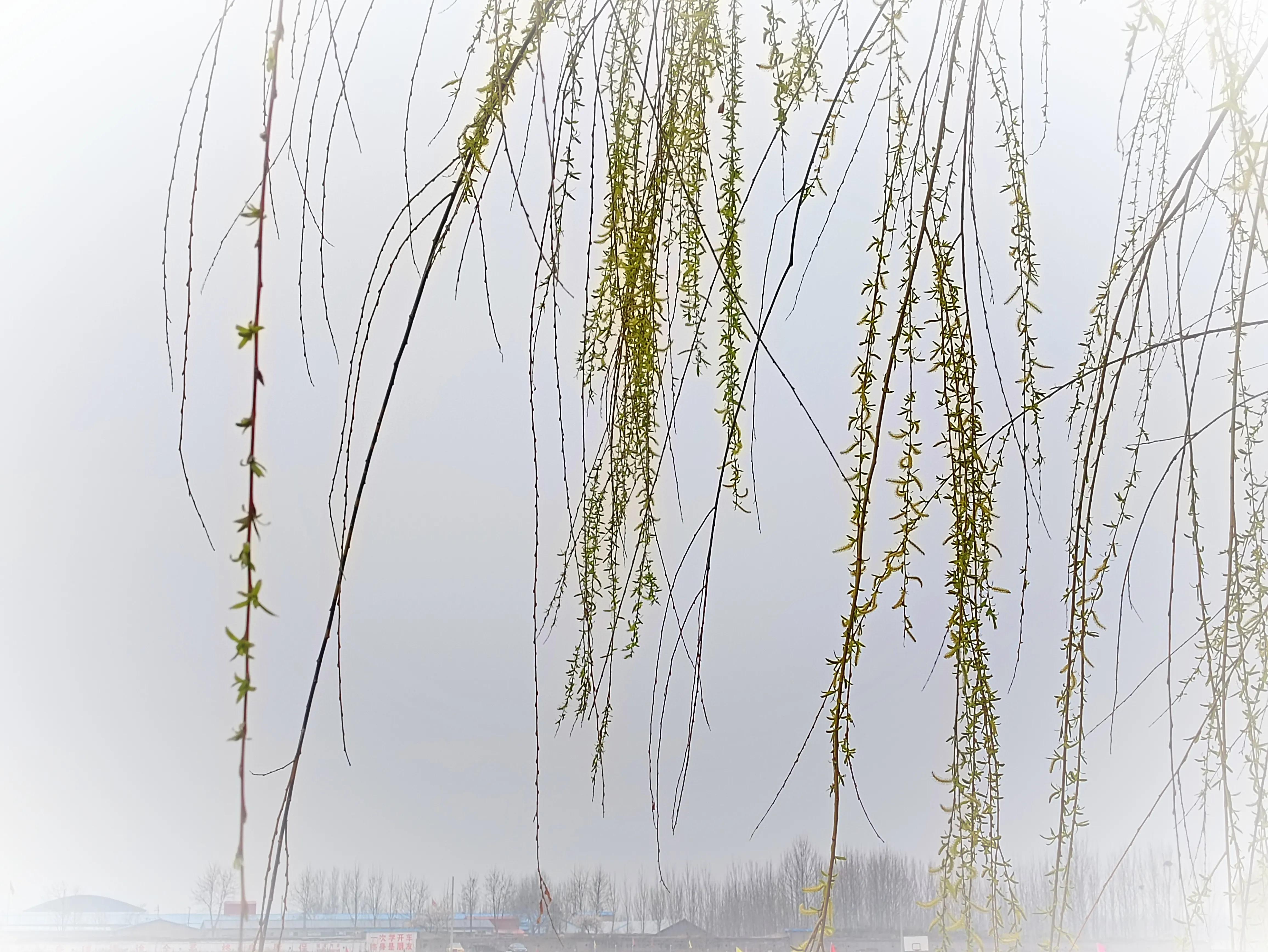 科二考试模拟三圈用多长时间,科二模拟练三天