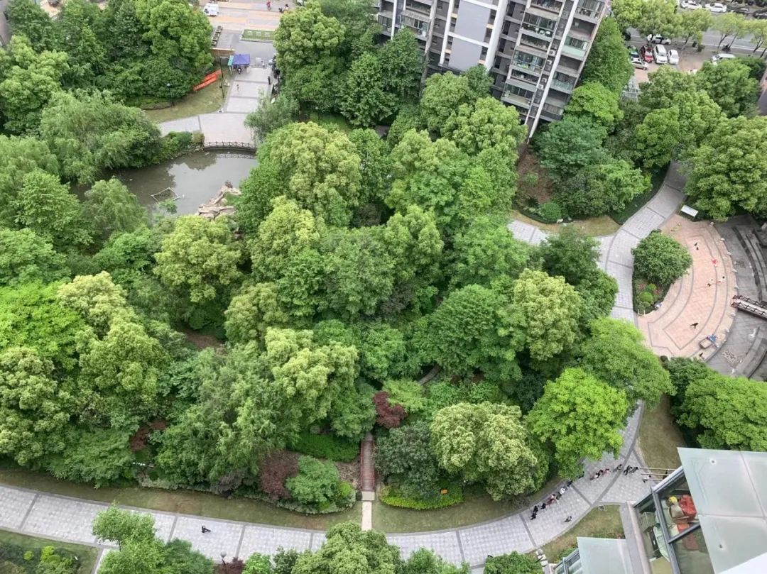 杭州文鼎苑学区房,杭州耀江文鼎苑学区房